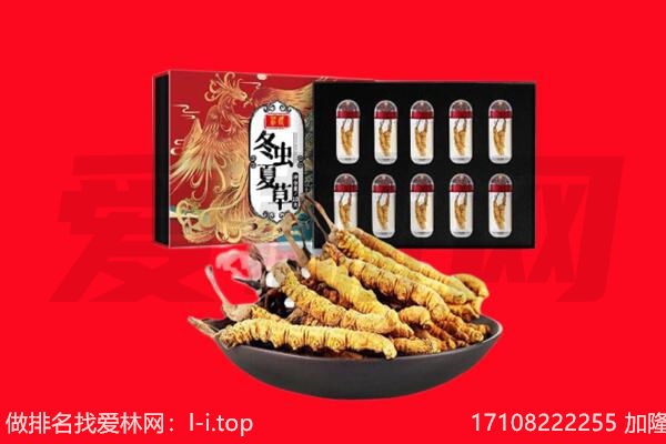 珠海回收虫草.jpg